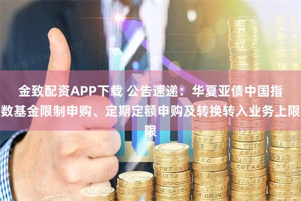 金致配资APP下载 公告速递：华夏亚债中国指数基金限制申购、定期定额申购及转换转入业务上限