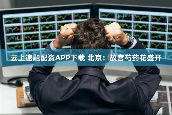 云上速融配资APP下载 北京：故宫芍药花盛开