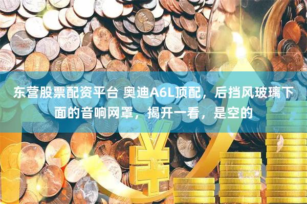 东营股票配资平台 奥迪A6L顶配，后挡风玻璃下面的音响网罩，揭开一看，是空的